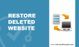 How to restore deleted website?