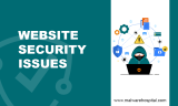 Common Website Security Issues